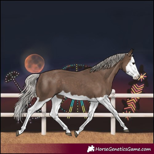 Horse Color:Silver Black Splash 