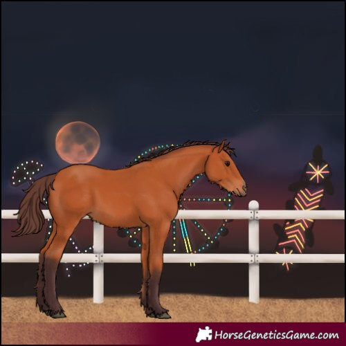 Horse Color:Chocolate Bay 