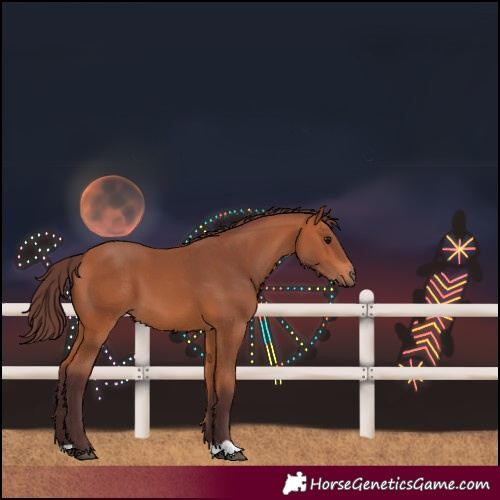 Horse Color:Chocolate Bay