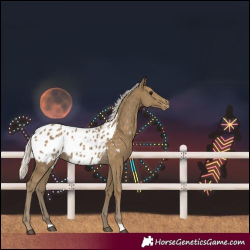 Horse Color:Silver Smoky Black Blanket 