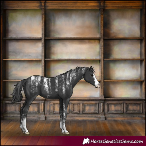 Horse Color:Powder White Black