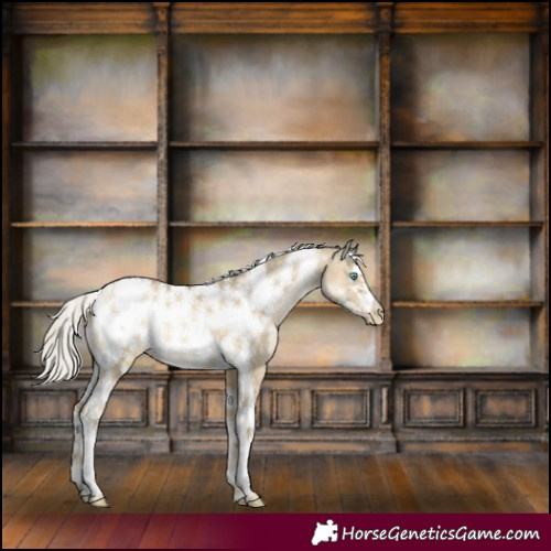 Horse Color:Silver Buckskin Pearl Dun Tobiano Frame 