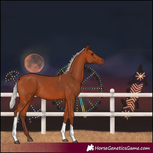 Horse Color:Silver Bay Tobiano 