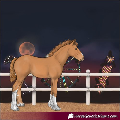 Horse Color:Chestnut Tobiano 
