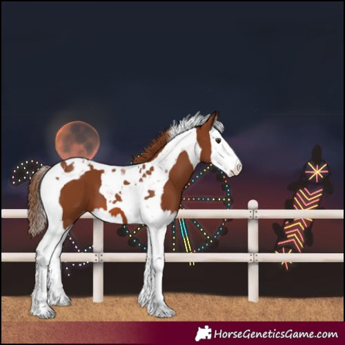 Horse Color:Chestnut Splash Tobiano Varnish 