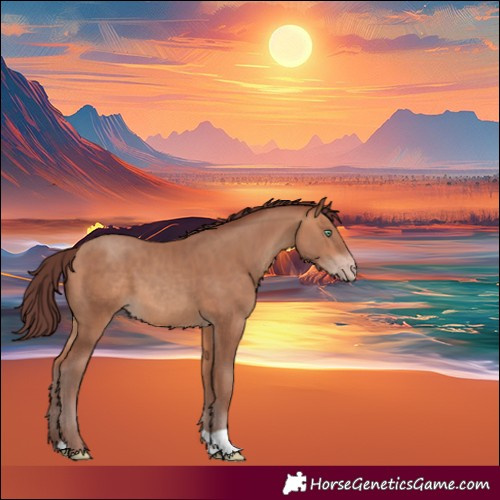 Horse Color:Chocolate Amber Champagne
