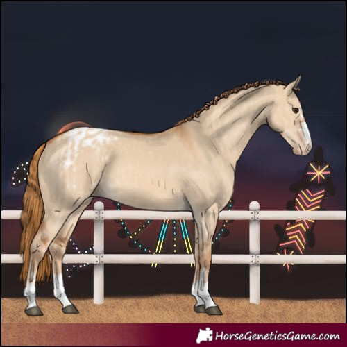 Horse Color:Red Dun Varnish and Red Dun Varnish