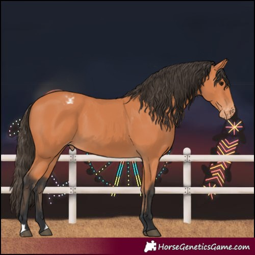 Horse Color:Bay Varnish