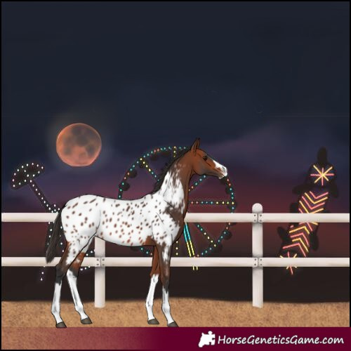 Horse Color:Bay Splash Near Leopard