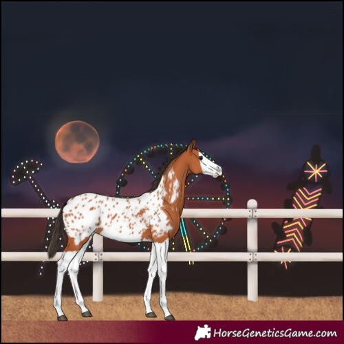 Horse Color:Bay Splash Blanket 