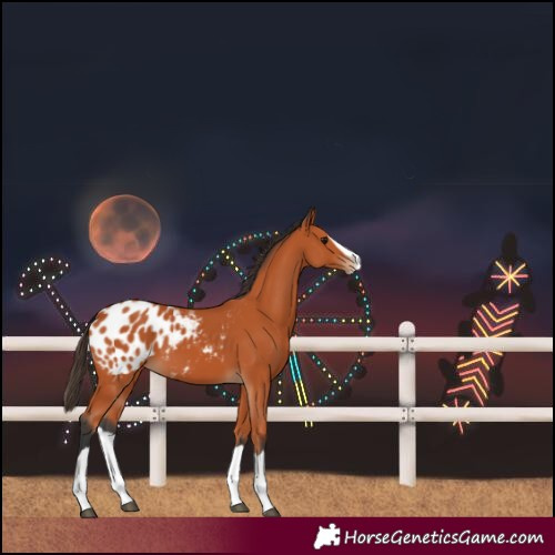 Horse Color:Bay Splash Blanket 