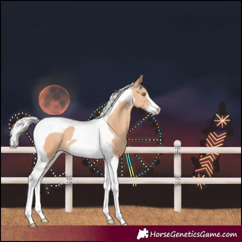 Horse Color:Silver Amber Champagne Tobiano Frame