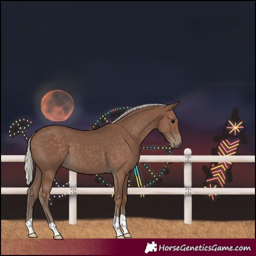 Horse Color:Silver Black 