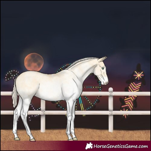 Horse Color:White Spotted Gold Cream Champagne Dun