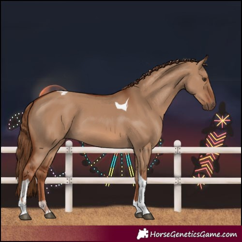 Horse Color:Red Dun Tobiano