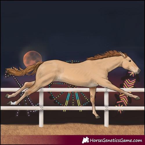 Horse Color:Red Dun