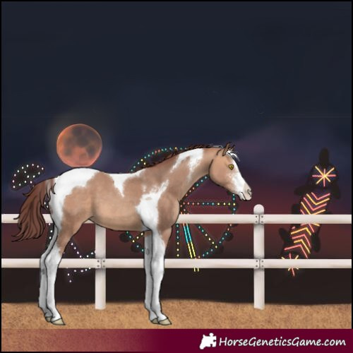 Horse Color:Unknown 