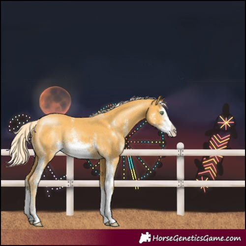 Horse Color:Unknown 