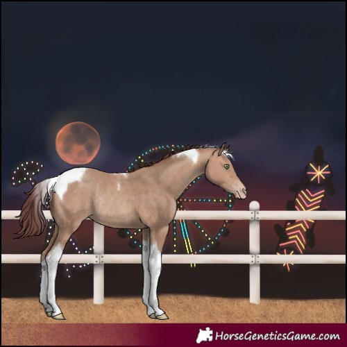 Horse Color:Unknown 