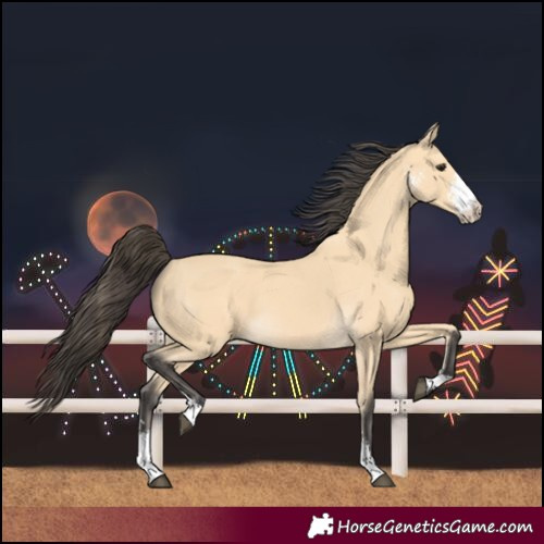Horse Color:Buckskin Sabino 
