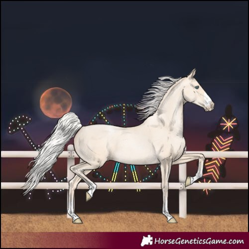 Horse Color:Silver Amber Cream Champagne Pearl 