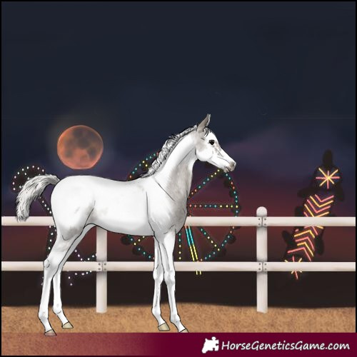 Horse Color:Silver Grullo Roan Splash Tobiano Frame Rabicano 