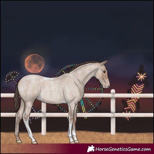 Horse Color:Classic Champagne Roan Tobiano 