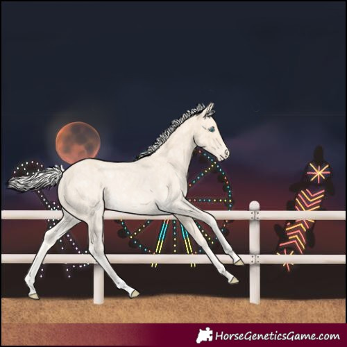 Horse Color:Cremello Ice Varnish
