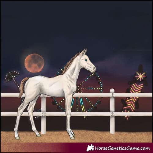 Horse Color:Sable Cream Champagne Pearl Tobiano Frame