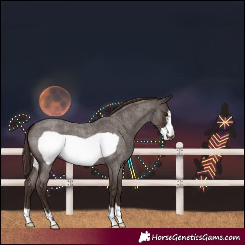 Horse Color:Liver Red Roan Frame