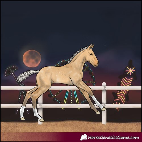 Horse Color:Silver Buckskin Dun