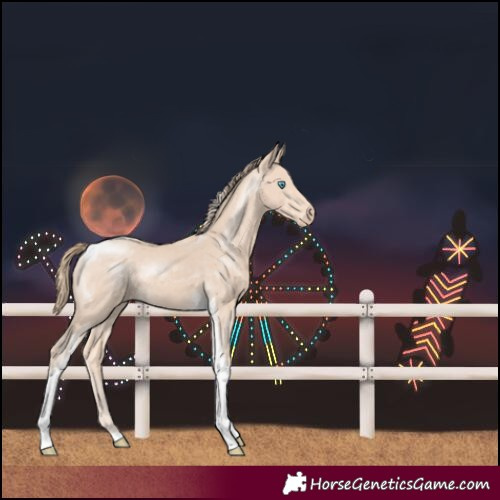 Horse Color:Perlino Tobiano 
