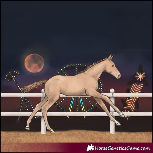 Horse Color:Gold Champagne Varnish 