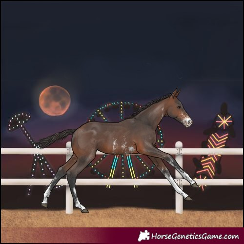 Horse Color:Brown Sabino