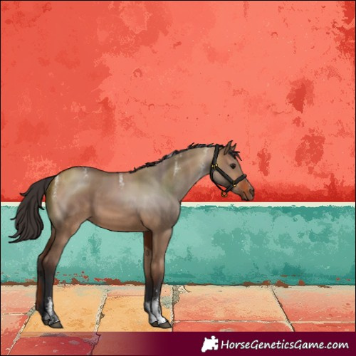 Horse Color:Powder White Bay Dun