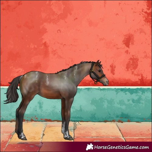 Horse Color:Powder White Bay