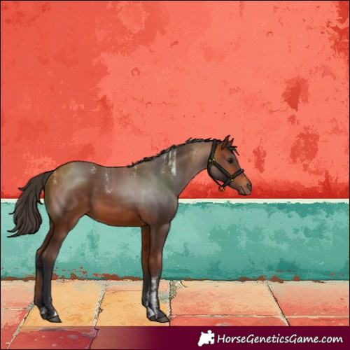 Horse Color:Powder White Bay 