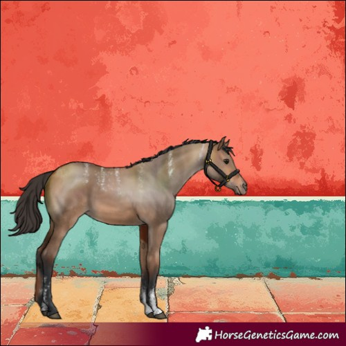 Horse Color:Powder White Bay Dun