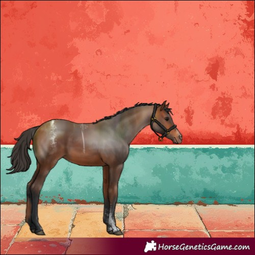 Horse Color:Powder White Bay