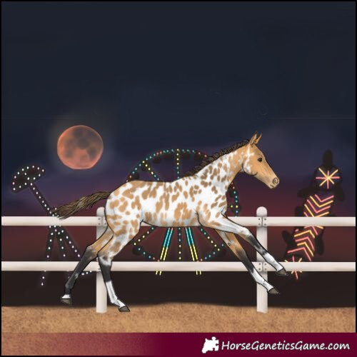 Horse Color:Buckskin Tobiano Near Leopard