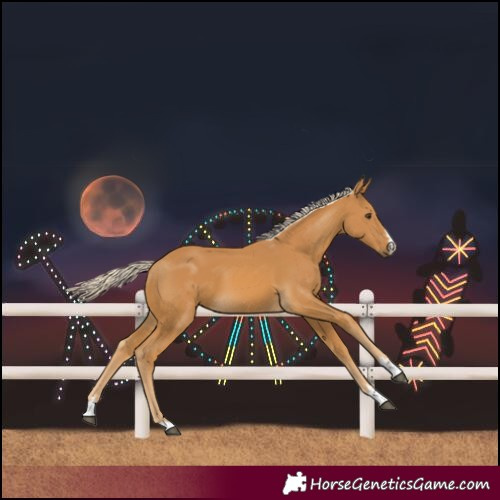 Horse Color:Palomino