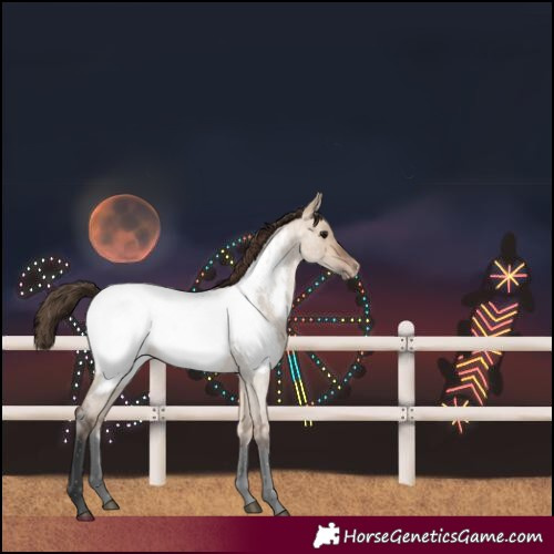 Horse Color:Bay Roan Dun Near Fewspot 