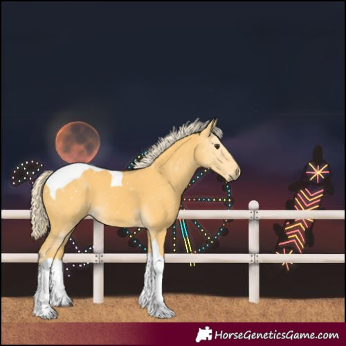 Horse Color:Palomino Tobiano