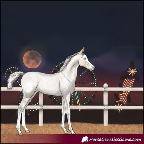 Horse Color:White Spotted Silver Buckskin Roan Pearl Splash 