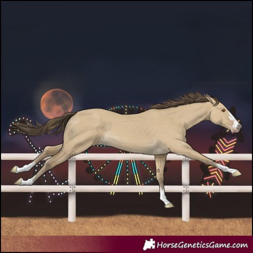 Horse Color:Classic Cream Champagne Dun