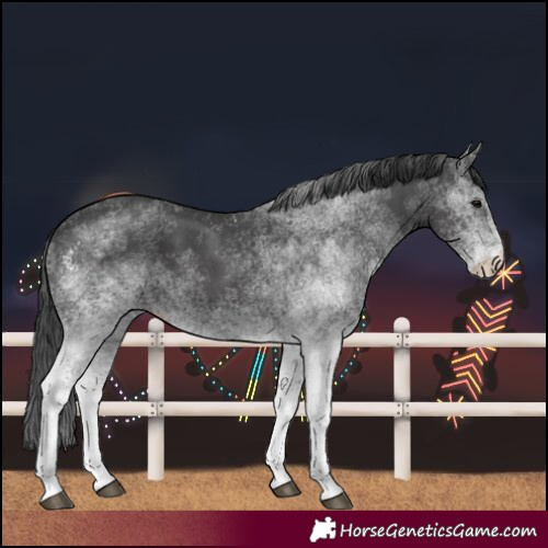 Horse Color:White Spotted Black