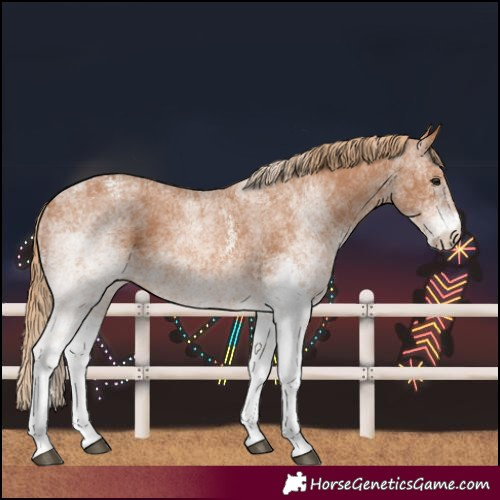 Horse Color:White Spotted Chestnut