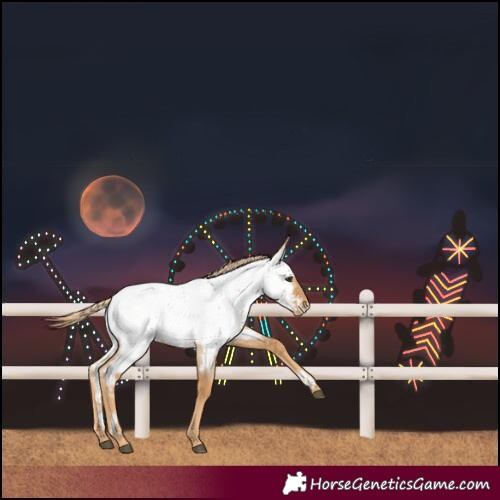 Horse Color:Red Roan Near Fewspot