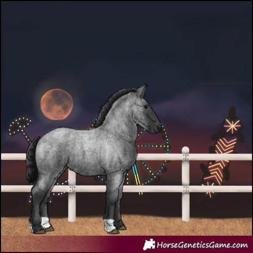 Horse Color:Blue Roan 