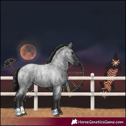 Horse Color:Blue Roan 